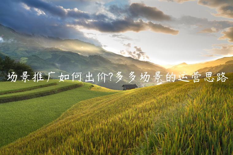 場(chǎng)景推廣如何出價(jià)?多多場(chǎng)景的運(yùn)營(yíng)思路